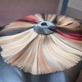 Colour Ring - High Quality Brazilian Human Hair
